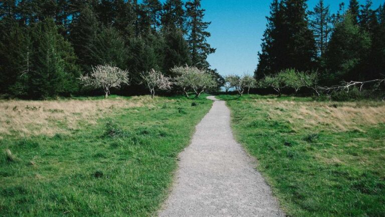 How To Sign Up On 99 Exchange Officially?